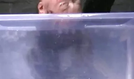 Plavuša obožava oralni seks s momkom na svježem porno video hp zraku