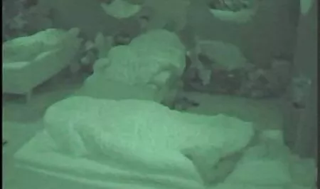 Ruska plavuša jebe se u vr hd porno kolibi s pikapom