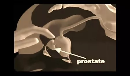 Plavokosa Maggie daje video porno full hd zeleno pohotnom momku